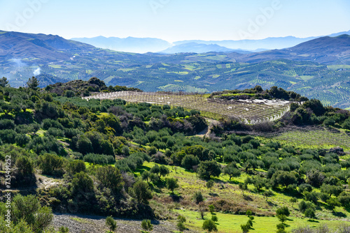 Unique panoramic aerial view of Archanes rural region real world landscape. Green meadows  hills  mountains  olive tree groves  and vineyards  in spring. Heraklion  Crete  Greece.