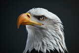 eagle portrait on black background, highly detailed - generative ai