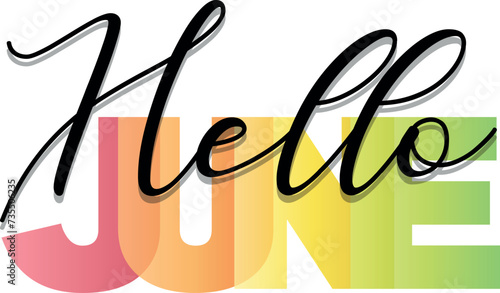 Hello June Mixed color vector typography banner with calligraphic lettering. Multicolored, bright, isolate, letters like, for the for social network, web resources, mobile apps