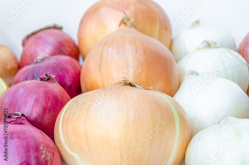 Various types of onion on white background