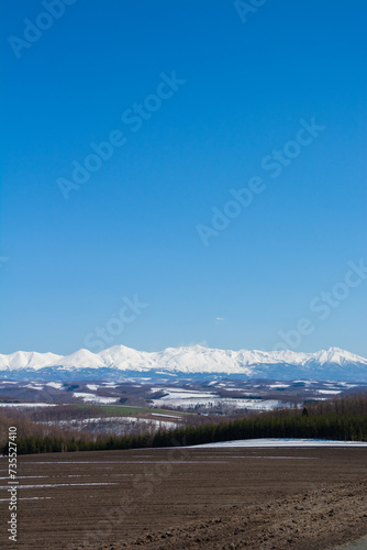春の残雪の畑と雪山 十勝岳連峰 