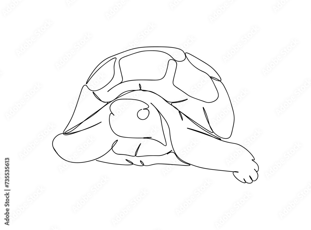 Turtle Single Line Drawing Ai, EPS, SVG, PNG, JPG zip file Turtle Single Line Drawing Ai, EPS, SVG, PNG, JPG zip file