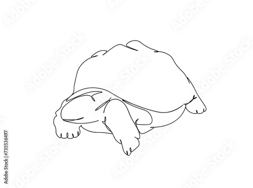 Turtle Single Line Drawing Ai, EPS, SVG, PNG, JPG zip file