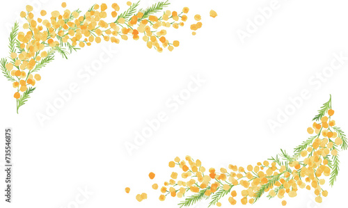 水彩画。水彩タッチのミモザベクターイラスト。ミモザの春イラスト。植物のシンプル背景セット。Watercolor painting. Mimosa vector illustration with watercolor touch. Mimosa spring illustration. Simple background set of plants.