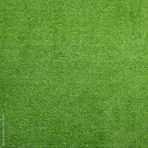 Fresh green grass as background outdoors, top view