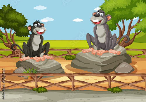 Two cheerful monkeys sitting on rocks outside