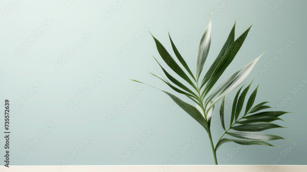 Glass Jar with Plant and Green Leaves on a White Background