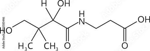 Vitamin b5, or pantothenic acid chemical formula structure comprising a pantoic acid moiety linked to a beta-alanine group. Vector scheme of element that plays a crucial role in energy metabolism photo