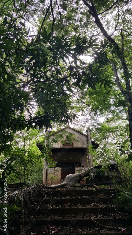 Ruinas de pequena igreja abandonada, com escadarias em meio a árvores crescidas em volta.
