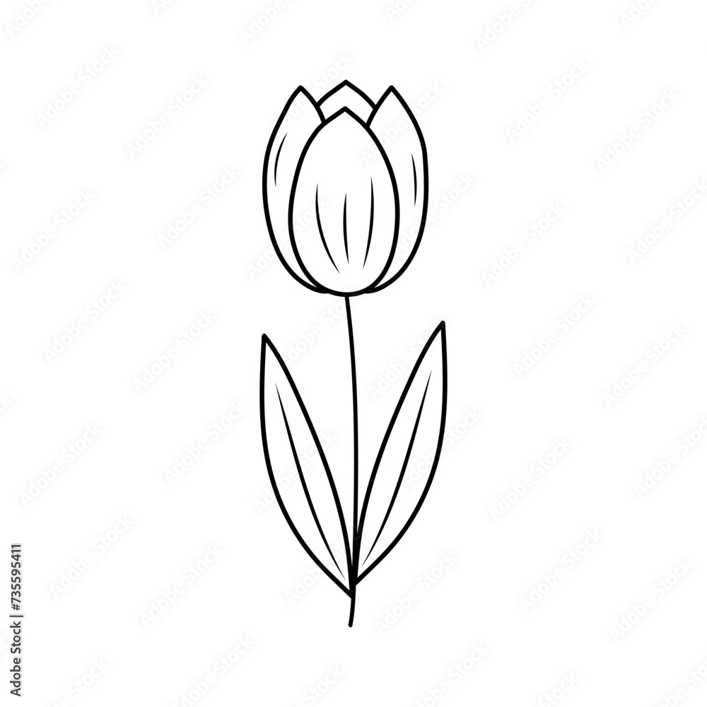 Doodle tulip. Cute spring flower. Vector linear illustration.