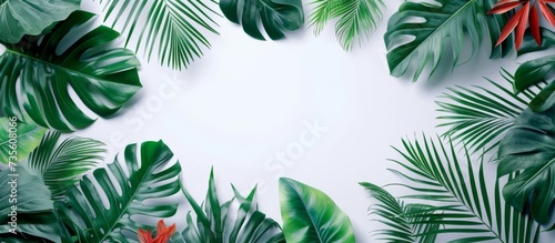 Beautiful tropical green leaves background with copy space for text and design  nature concept for wallpaper  banner  poster  or card