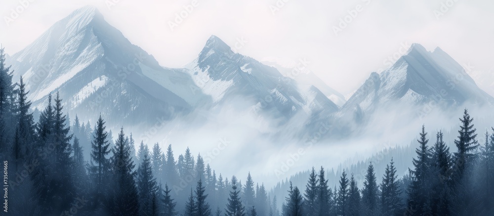 Majestic foggy mountain range covered with lush trees and misty clouds in the wilderness