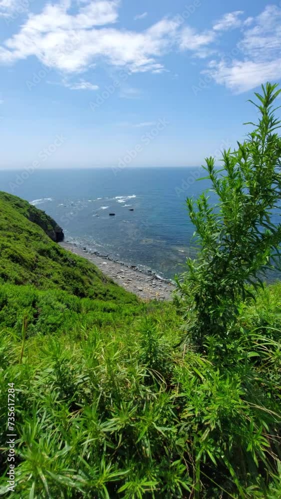Beautiful view from a high cliff with wild plants to the seashore Beautiful view from a high cliff with wild plants to the seashore