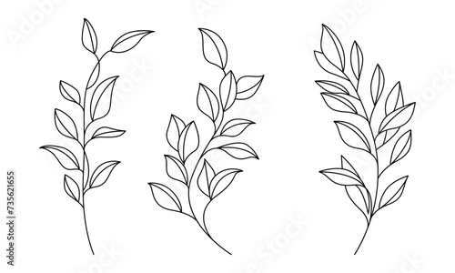 Set of Black Sketch Silhouettes of Branches and Leaves on White Background. Minimal Line Art Hand Drawn Vector Botanical Elements Collection.
