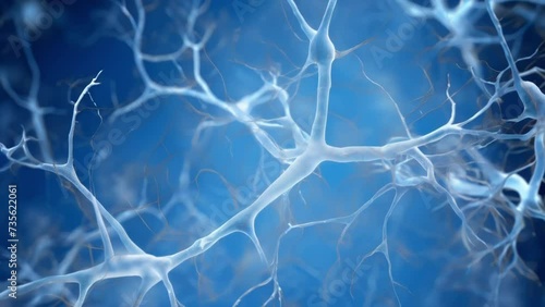 Microscopic of a dendrite, the branchlike structure that receives signals from other neurons, emphasizing the complexity of decisionmaking processes. photo