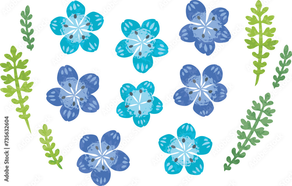 ネモフィラの花のイラスト ネモフィラの花のイラスト