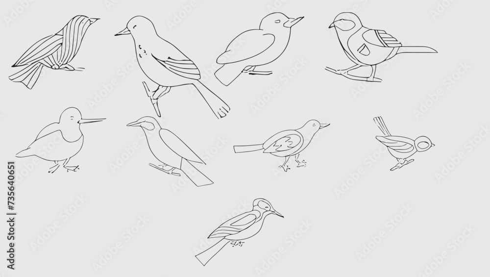 set of hand drawn birds set of hand drawn birds