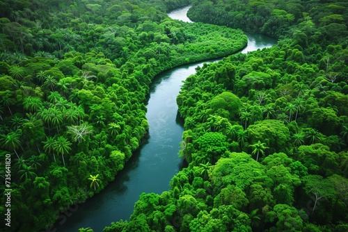 Drone view of a river meandering through a lush rainforest Offering a breathtaking perspective of nature's serenity and the richness of the ecosystem