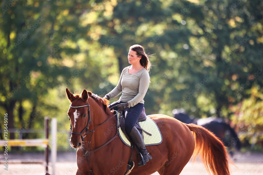 Obraz premium Horse woman rider riding in the sunshine at the riding arena.