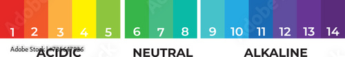 pH scale indicator chart diagram acidic alkaline measure. pH analysis vector chemical scale value test