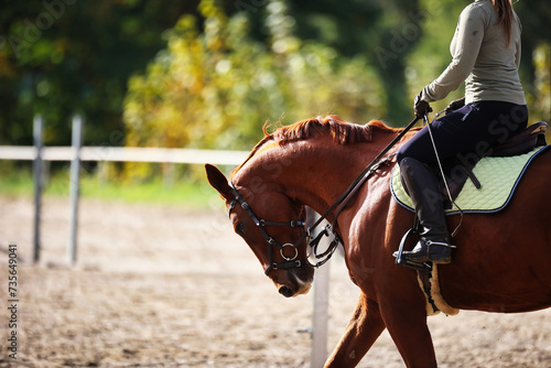 Horse woman rider riding in the sunshine at the riding arena. photo