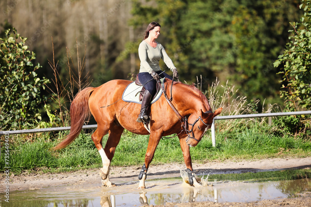 Obraz premium Horse woman rider riding in the sunshine at the riding arena.