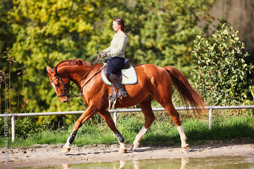 Horse woman rider riding in the sunshine at the riding arena.