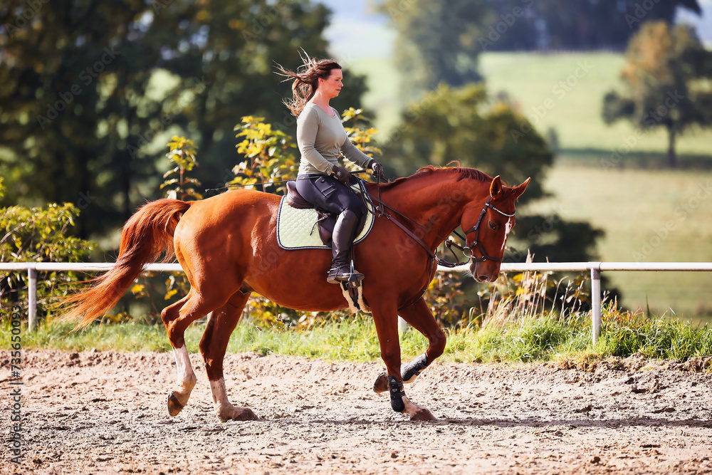 Obraz premium Horse woman rider riding in the sunshine at the riding arena.