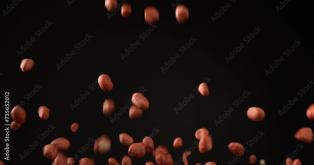 Side View Slow Motion of pouring peanuts from the top to the bottom in the black background Side View Slow Motion of pouring peanuts from the top to the bottom in the black background
