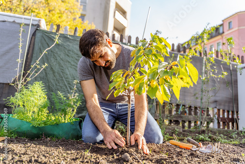 Young pakistani or indian bearded farmer in jeans, t-shirt plants a tree in horticultural city garden on sunny autumnal day