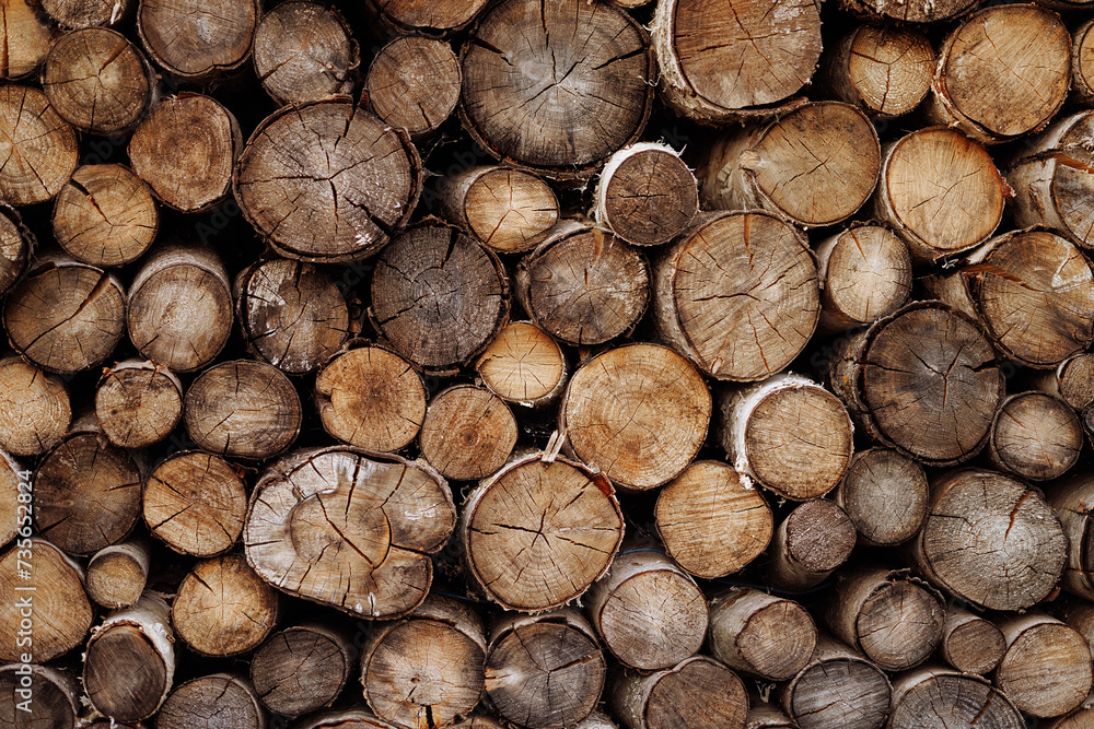 Cross section of tree trunks, timber background. Log trunks pile, the logging timber wood industry. Cutting tree trunks placed together for interior decorate. Decoration of cutting tree.