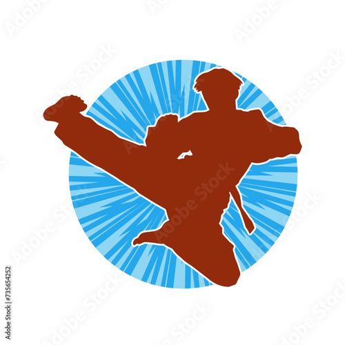 Silhouette of a male doing martial art kick pose. Silhouette of a martial art male doing kicking pose.