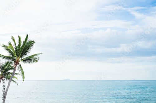 Sea Travel Background Blue Sky Ocean Water at Coast Palm Tree Horizon Travel Summer Nature Season Beautiful Wallpaper Seascape Island Outdoor  Tropical Smooth Spash  Tourism Vacation Holidays.