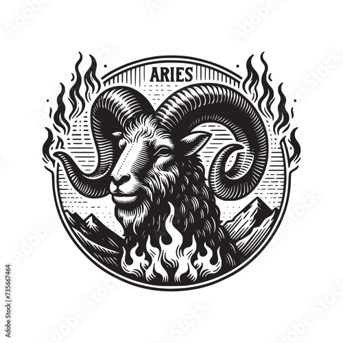 Zodiac signs, horoscope art illustration Astrology symbols aries constellations