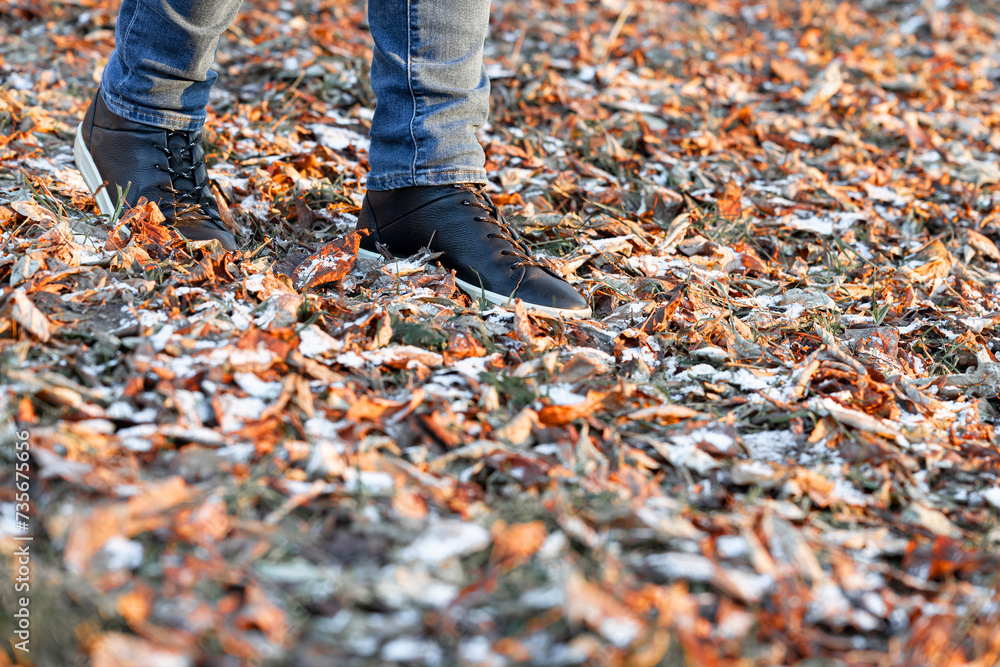 a man walks through the autumn leaves covered with snow a man walks through the autumn leaves covered with snow