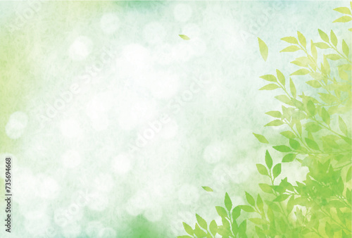 新緑　葉　風景　背景