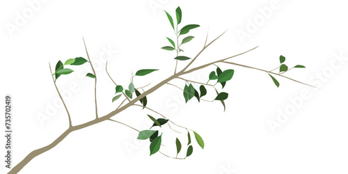 simple plant vector for background design.