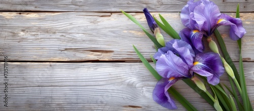 A Beautiful Display of Purple Iris Flowers Creating a Serene Scene on a Wooden Background