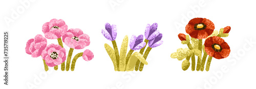 Spring flowers set. Blossomed anemones, crocuses, poppies. Summer blooms, gen...