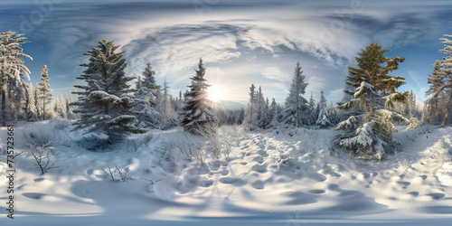 winter landscape with snow 360 panorama