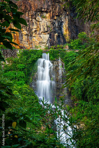 waterfall in the forest