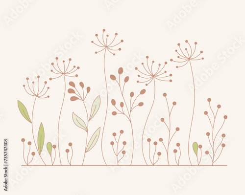 Vector of Illustration of wild flowers about flowers, icon, illustration, floral, and nature. Beautiful flower style color 