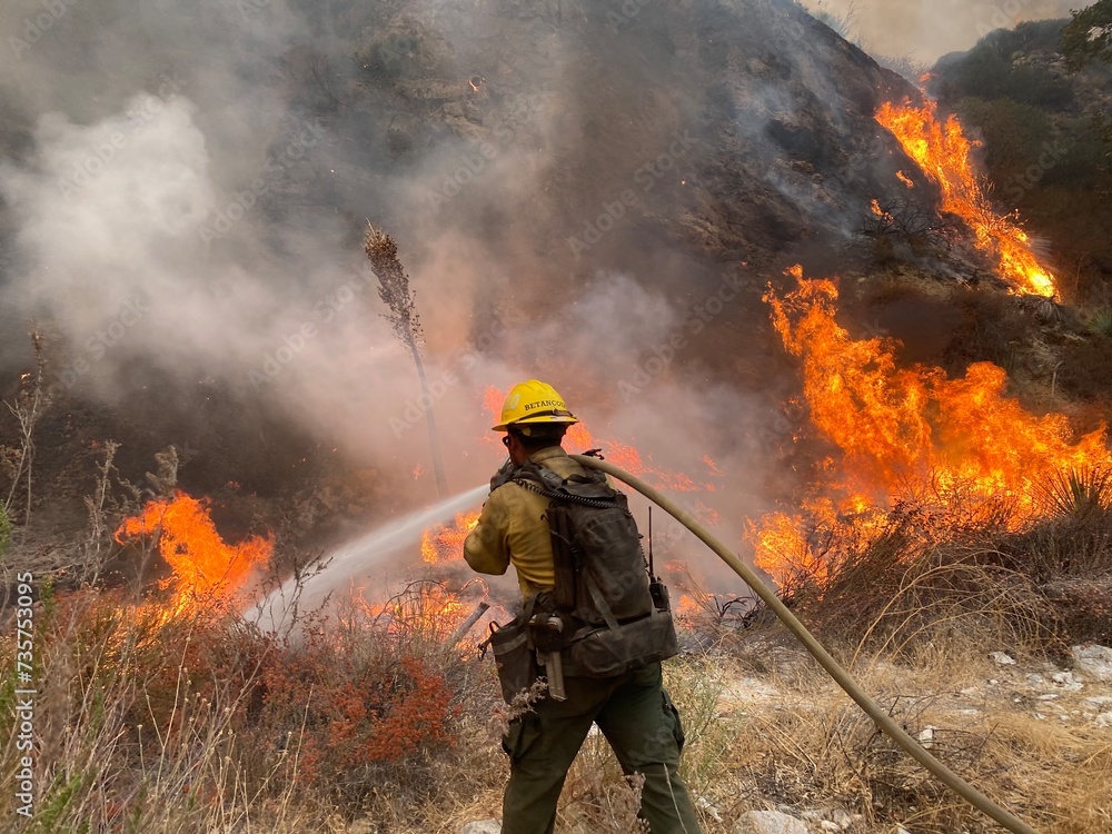 Naklejka premium firefighters in action