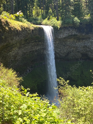 waterfall in the woods