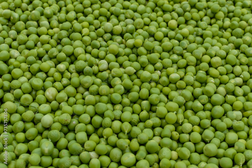 green peas peeled in pods hand