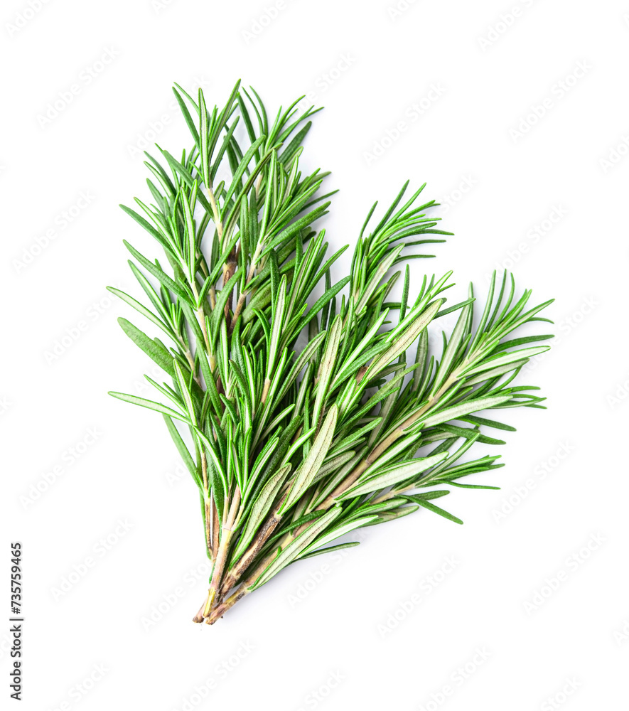 Fototapeta premium Rosemary herbal on white backgrounds