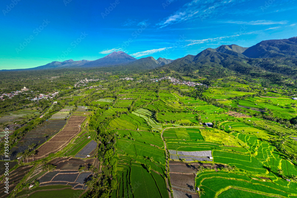 Fototapeta premium terraced rice field