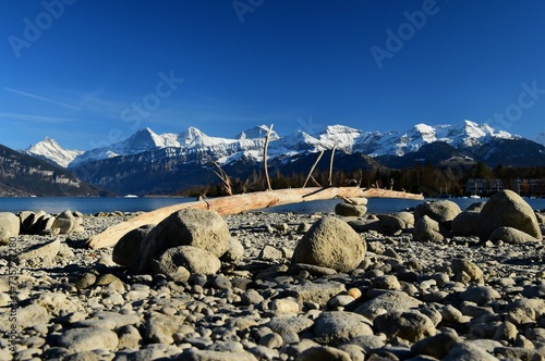 thunersee schreckhorn eiger mönch jungfrau landscape scenery