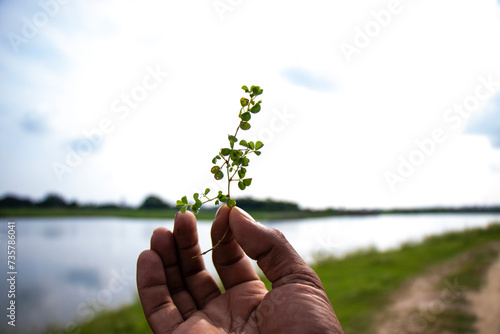 Green Leaf in hand, Save Greenery conceptual photo (ID: 735786041)