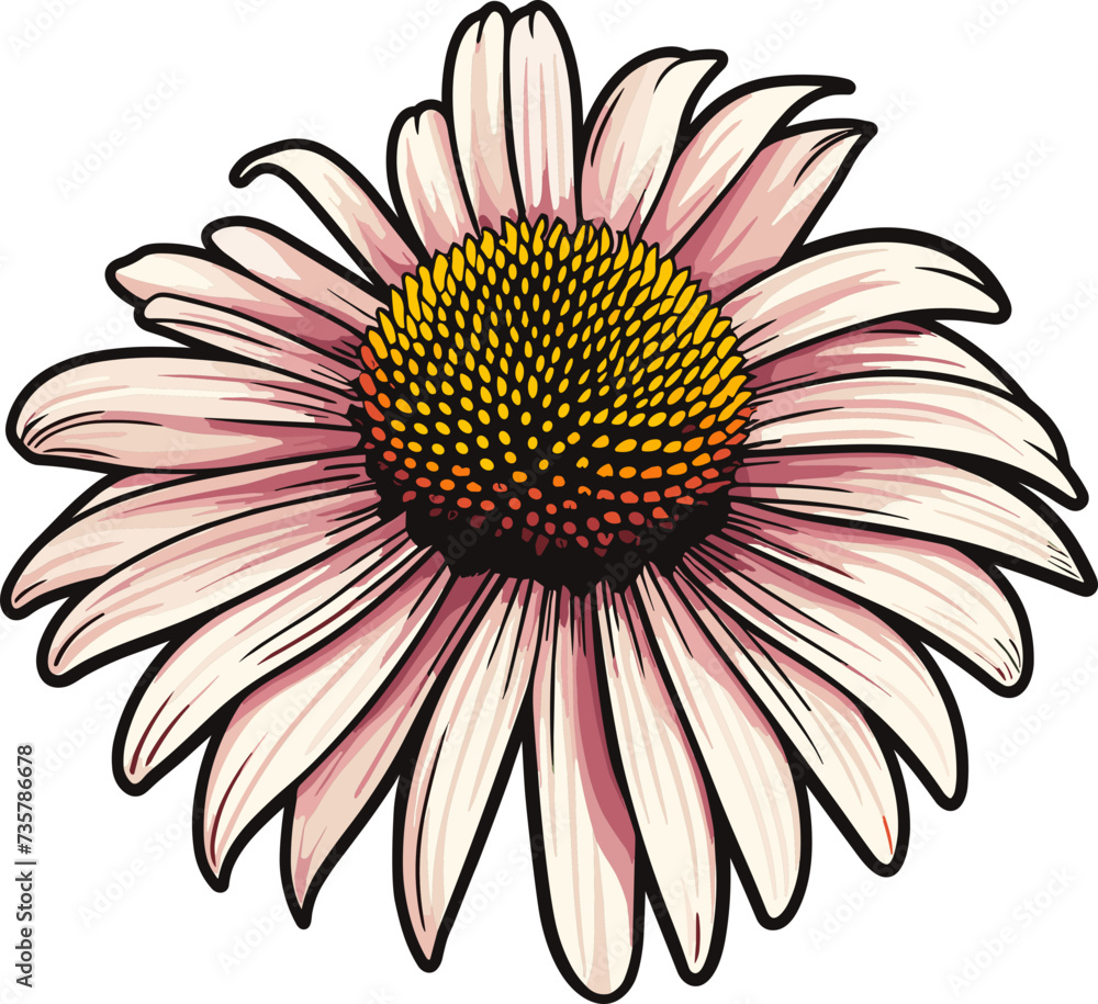 Coneflower clipart design illustration